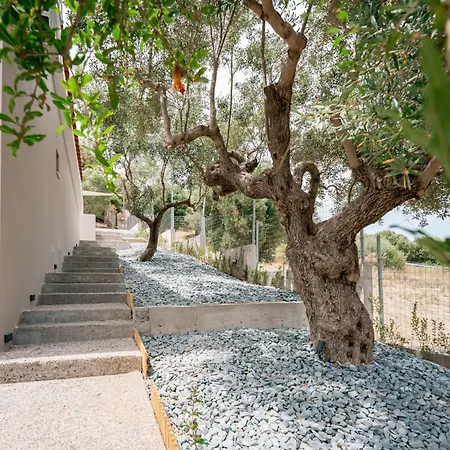 Themida Luxurious By Travel Pro - Halkidiki Villa